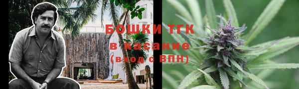 ешки Вязьма