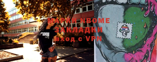 прущий лед Вяземский