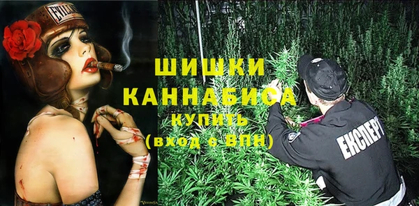 прущий лед Вяземский