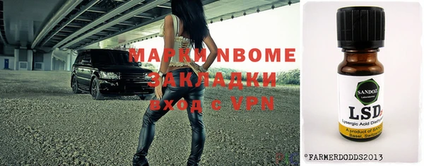 прущий лед Вяземский