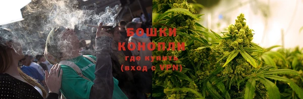 ешки Вязьма