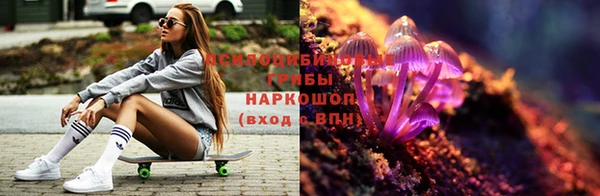 ешки Вязьма