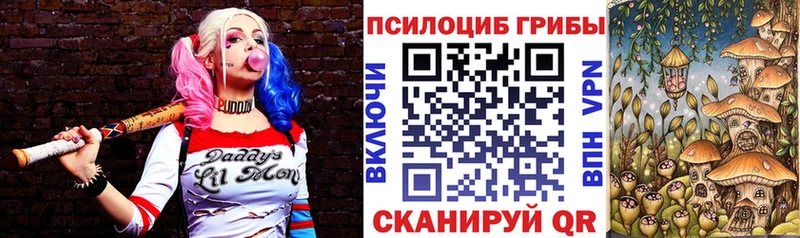 Галлюциногенные грибы Psilocybine cubensis  Купить  Кологрив 
