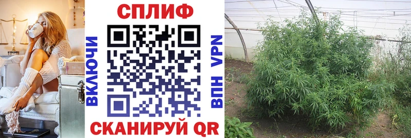 Бошки марихуана индика  Купить закладки  Кологрив 